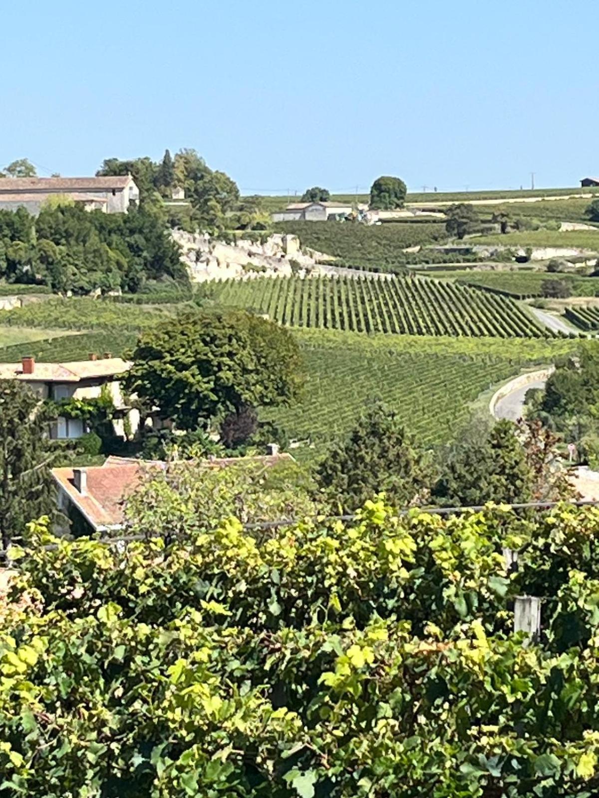 Apartamento Les Logis Des Vignobles Saint Emilion En Duplex N 2 Avec Terrasse Exterior foto